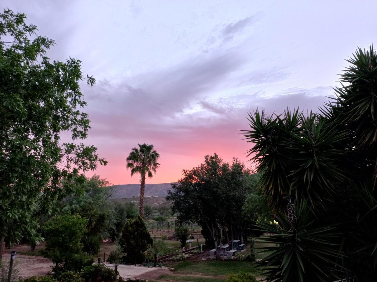 Karoo Life B&B Calitzdorp Bagian luar foto