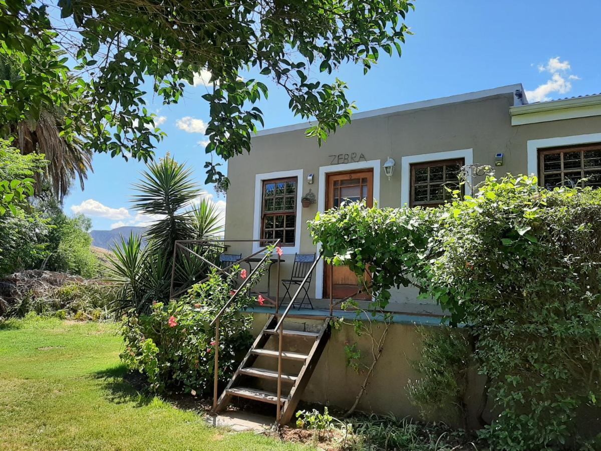 Karoo Life B&B Calitzdorp Bagian luar foto
