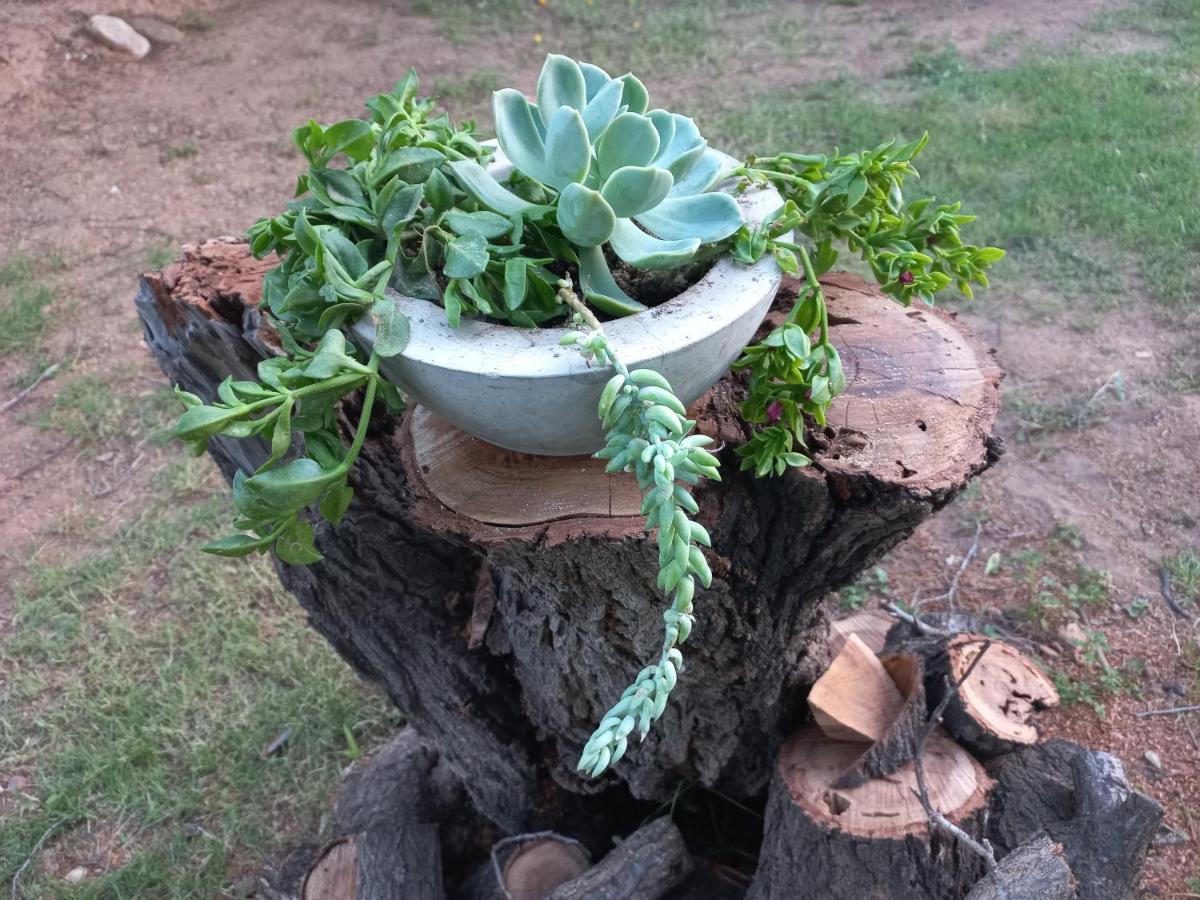 Karoo Life B&B Calitzdorp Bagian luar foto